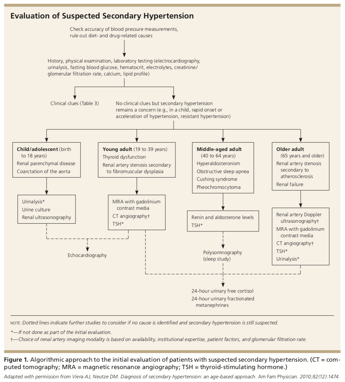 causes of hypertension