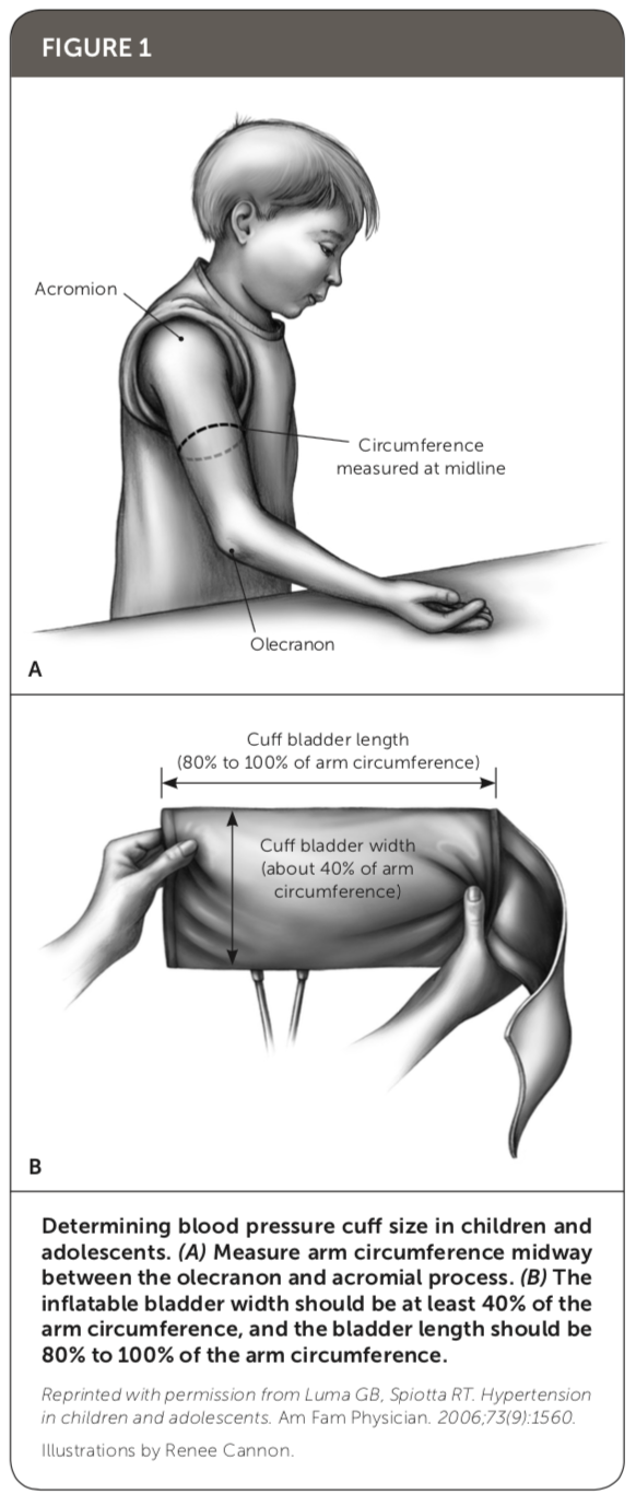 bladder width of blood pressure cuff